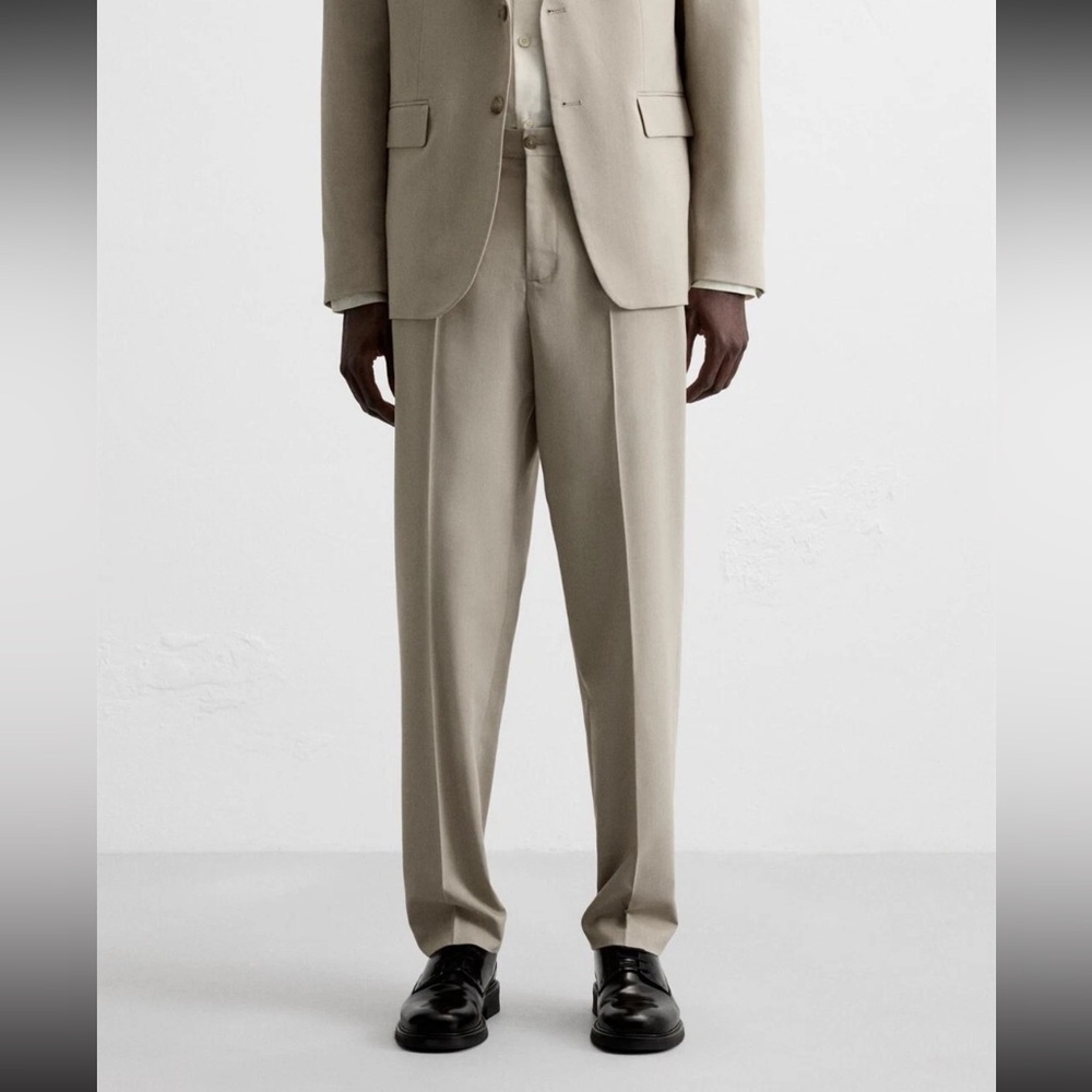 Zara Dress Pants Trouser Texture Slim Fit Modern Pleated Pants. Size 34 /EU 44